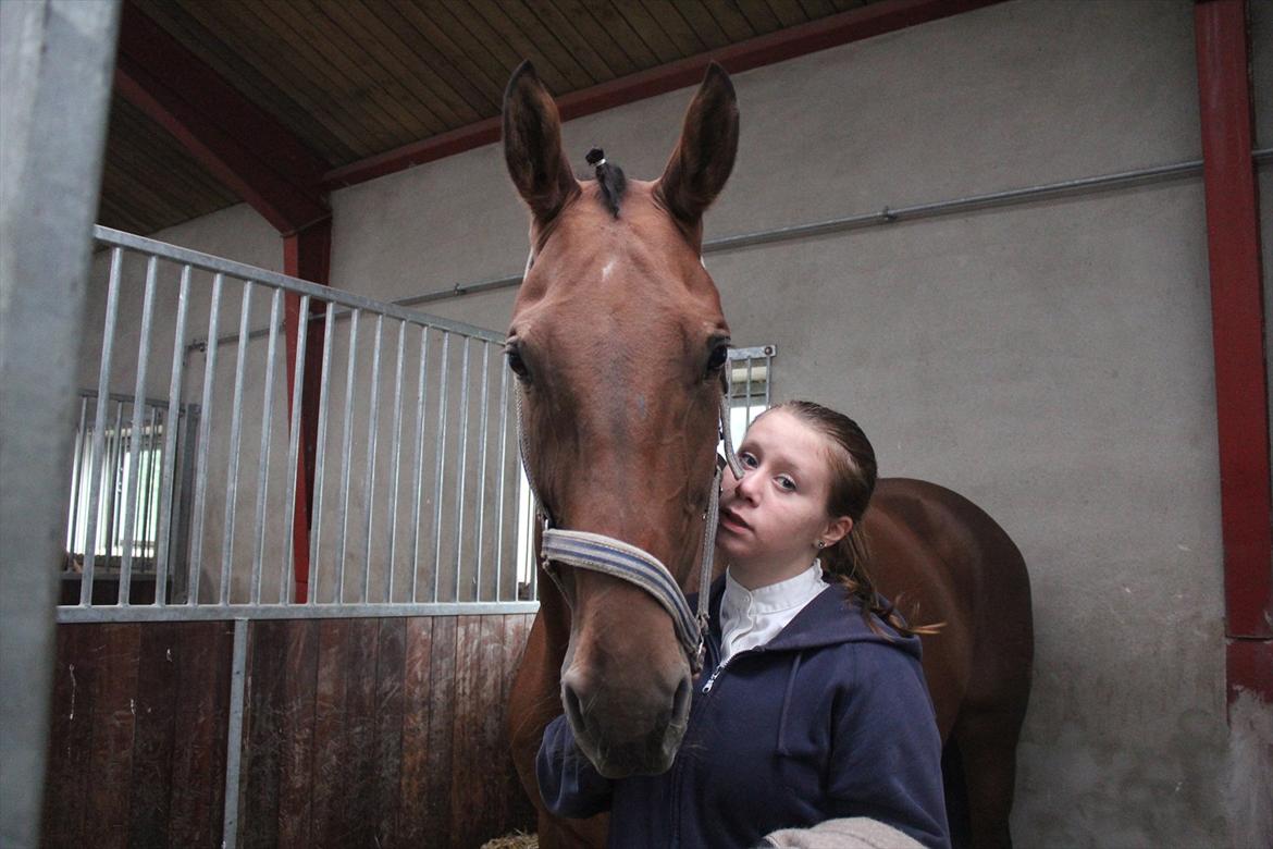Stævne i Ågerupgård Sportsrideklub  d. 17 se billede 78