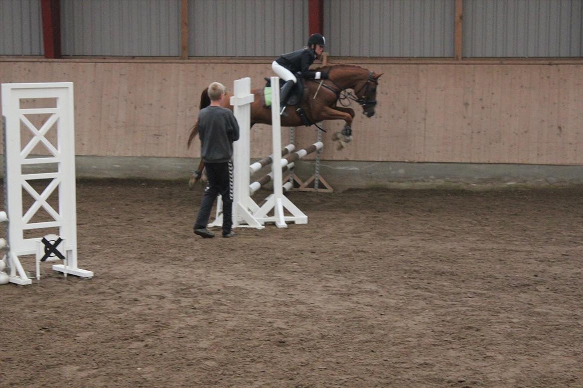 Stævne i Ågerupgård Sportsrideklub  d. 17 se billede 79