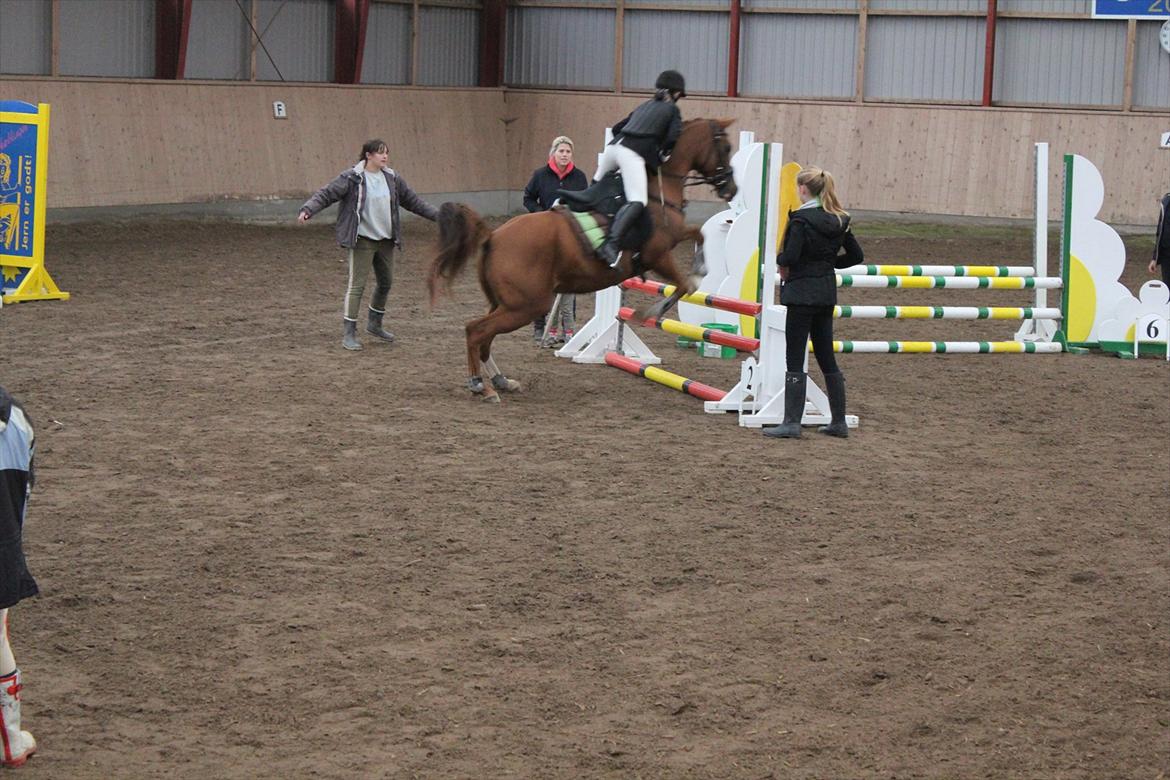 Stævne i Ågerupgård Sportsrideklub  d. 17 se billede 80