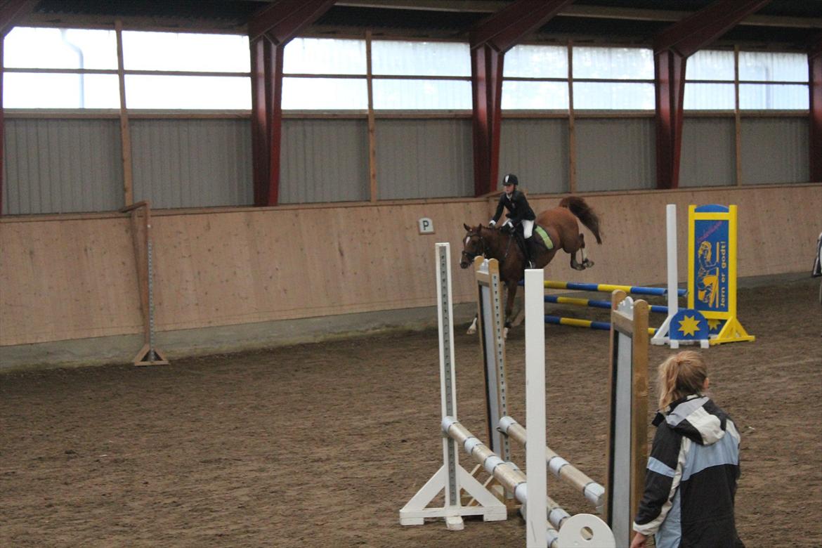 Stævne i Ågerupgård Sportsrideklub  d. 17 se billede 81