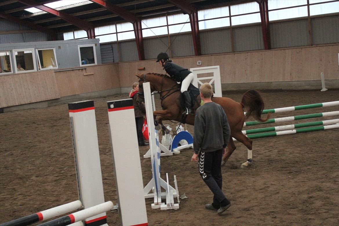 Stævne i Ågerupgård Sportsrideklub  d. 17 se billede 82