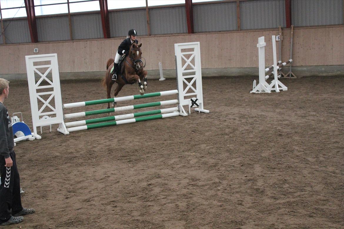 Stævne i Ågerupgård Sportsrideklub  d. 17 se billede 83