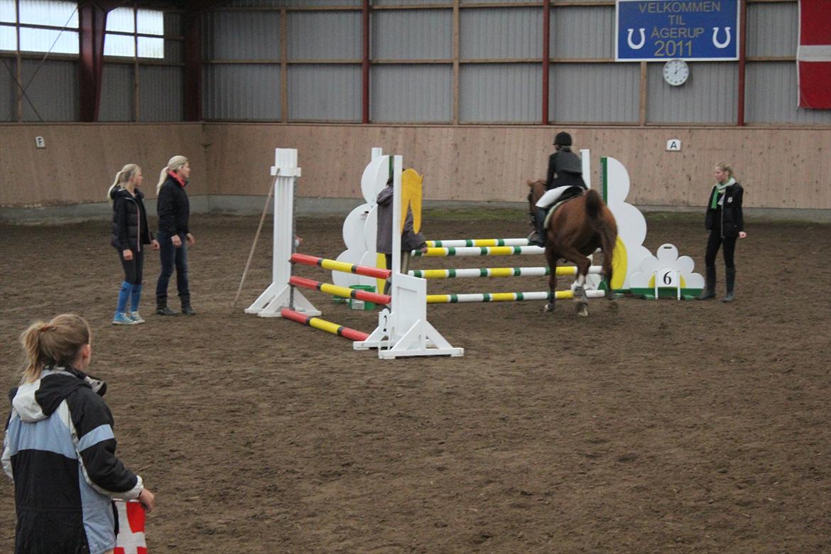 Stævne i Ågerupgård Sportsrideklub  d. 17 se billede 84