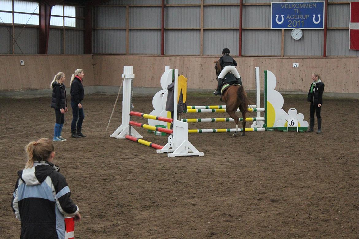 Stævne i Ågerupgård Sportsrideklub  d. 17 se billede 85