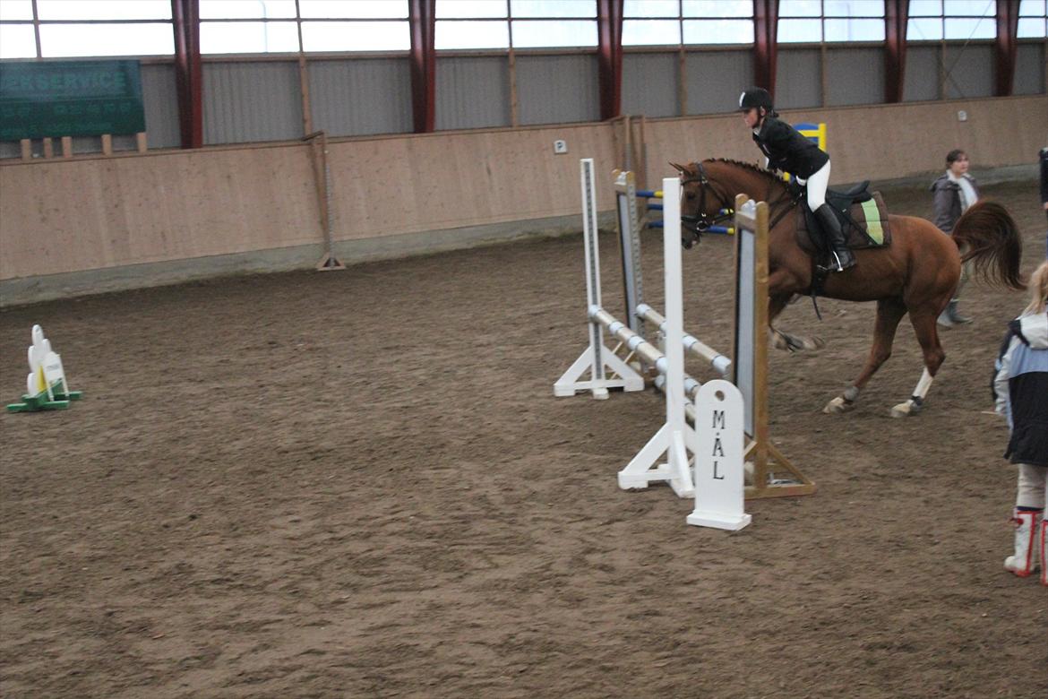 Stævne i Ågerupgård Sportsrideklub  d. 17 se billede 86