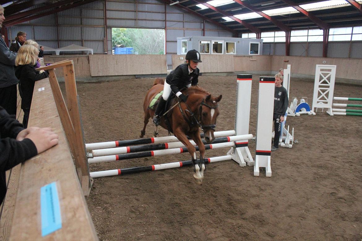 Stævne i Ågerupgård Sportsrideklub  d. 17 se billede 87