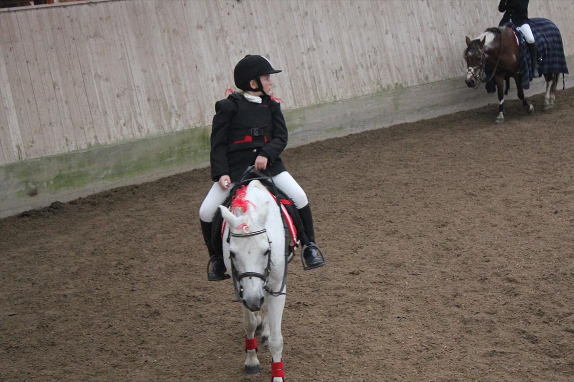 Stævne i Ågerupgård Sportsrideklub  d. 17 se billede 90