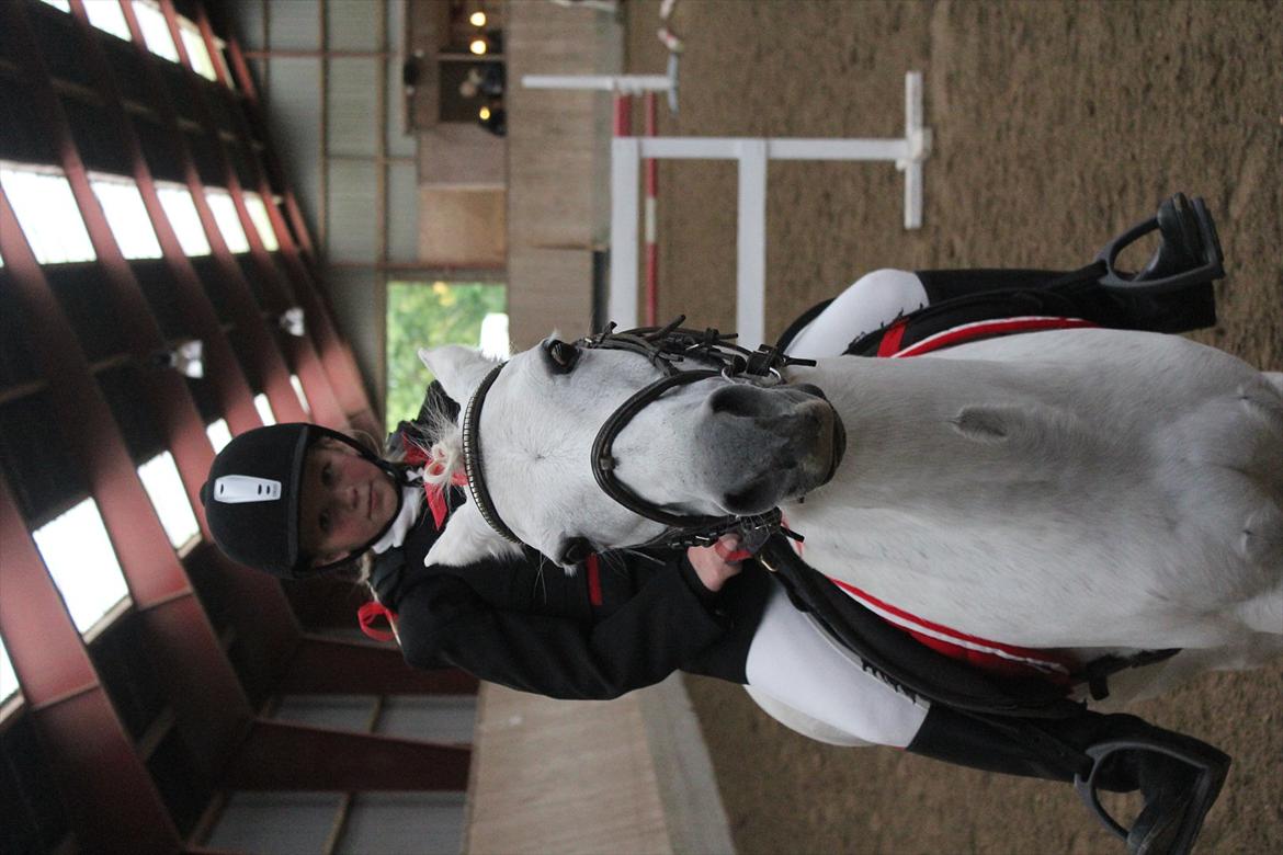 Stævne i Ågerupgård Sportsrideklub  d. 17 se billede 92