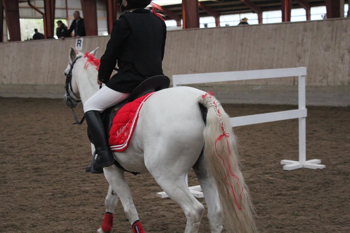 Stævne i Ågerupgård Sportsrideklub  d. 17 se billede 94