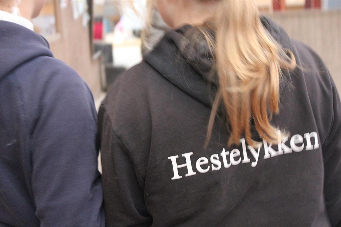 Stævne i Ågerupgård Sportsrideklub  d. 17 se billede 95