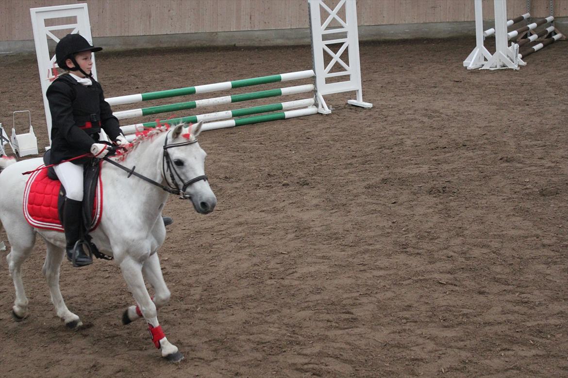 Stævne i Ågerupgård Sportsrideklub  d. 17 se billede 96