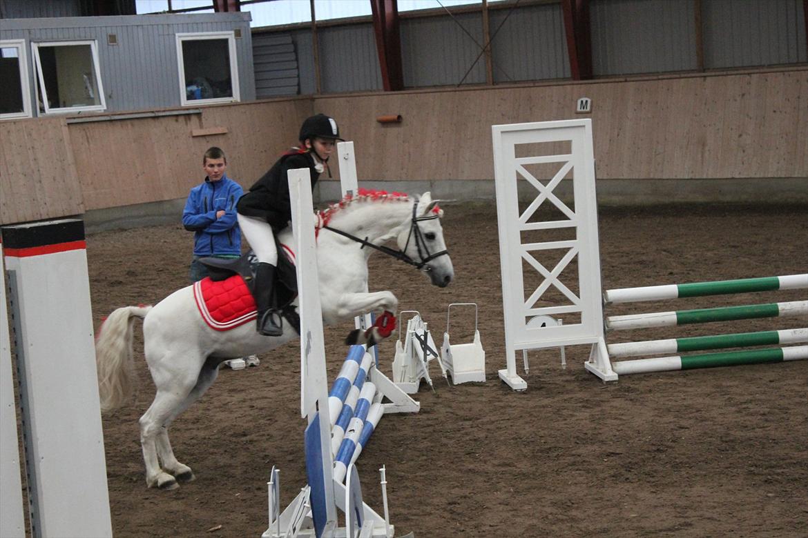 Stævne i Ågerupgård Sportsrideklub  d. 17 se billede 98