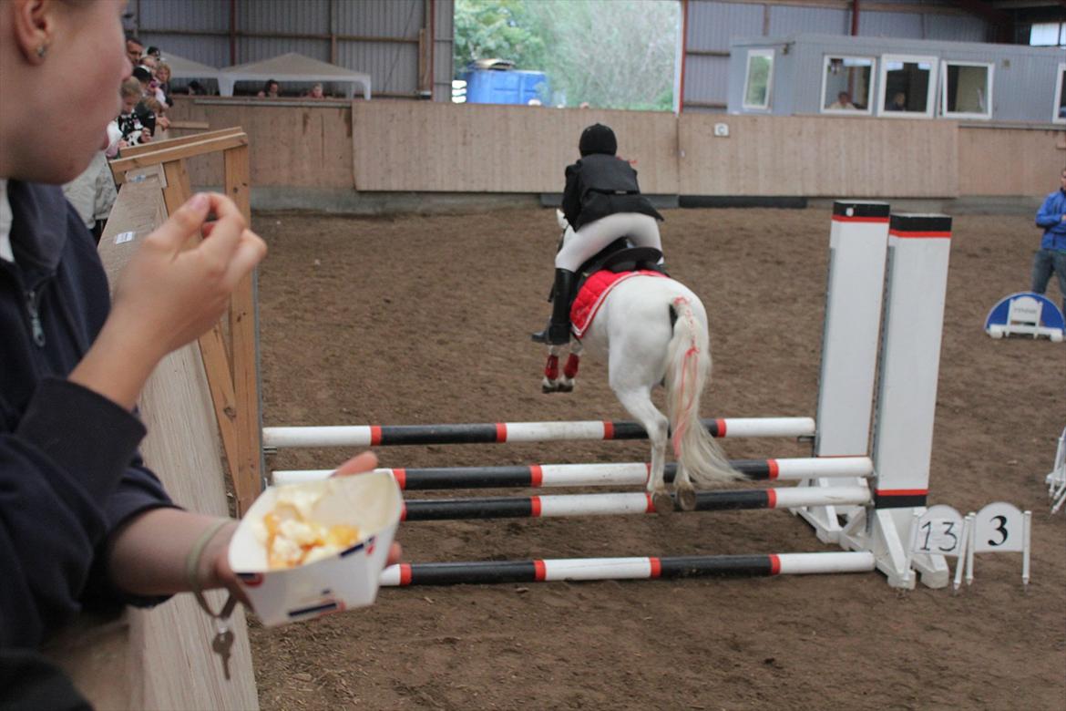 Stævne i Ågerupgård Sportsrideklub  d. 17 se billede 99