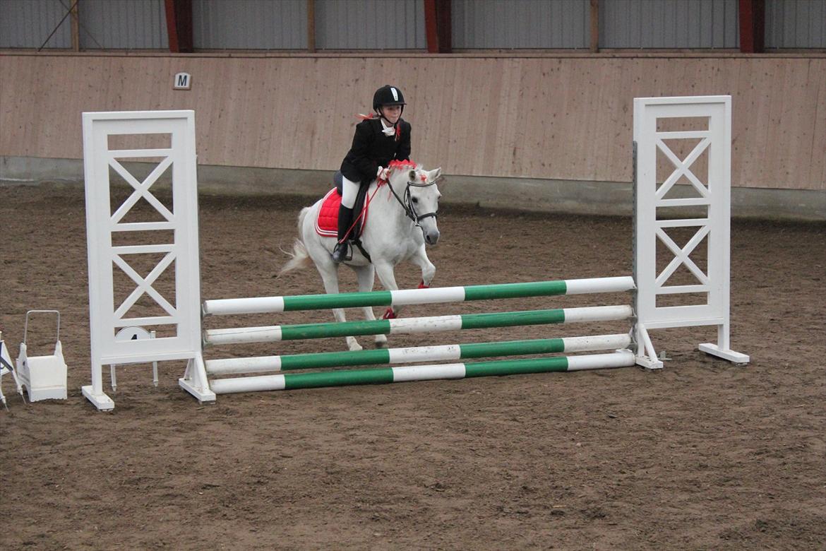 Stævne i Ågerupgård Sportsrideklub  d. 17 se billede 100