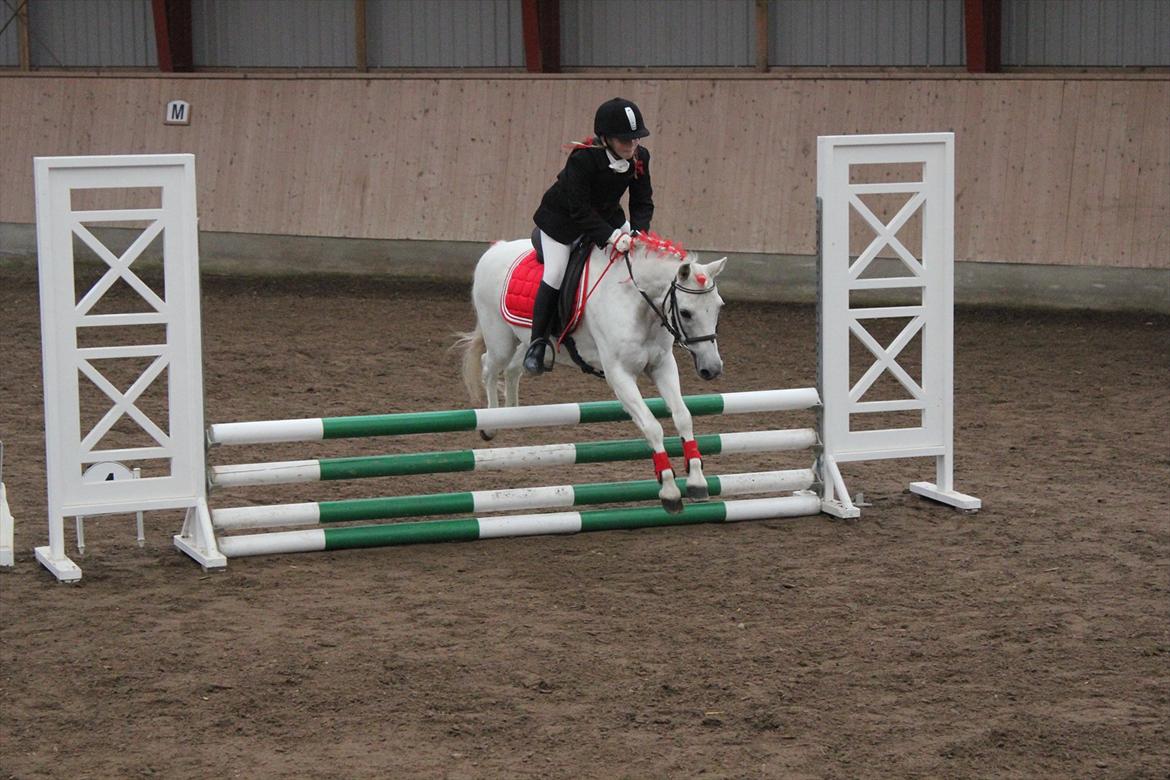 Stævne i Ågerupgård Sportsrideklub  d. 17 se billede 101