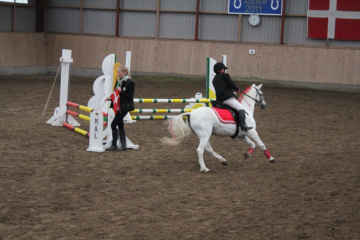 Stævne i Ågerupgård Sportsrideklub  d. 17 se billede 102