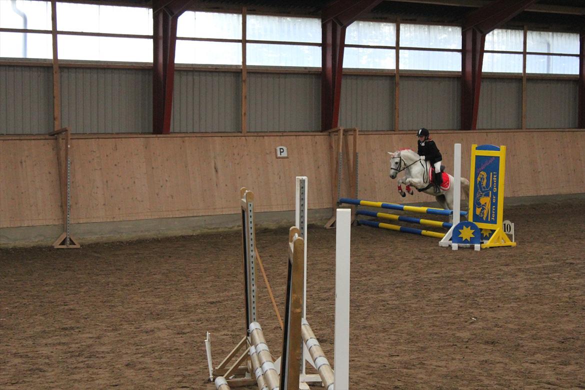 Stævne i Ågerupgård Sportsrideklub  d. 17 se billede 103