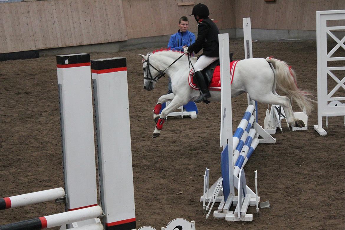 Stævne i Ågerupgård Sportsrideklub  d. 17 se billede 104