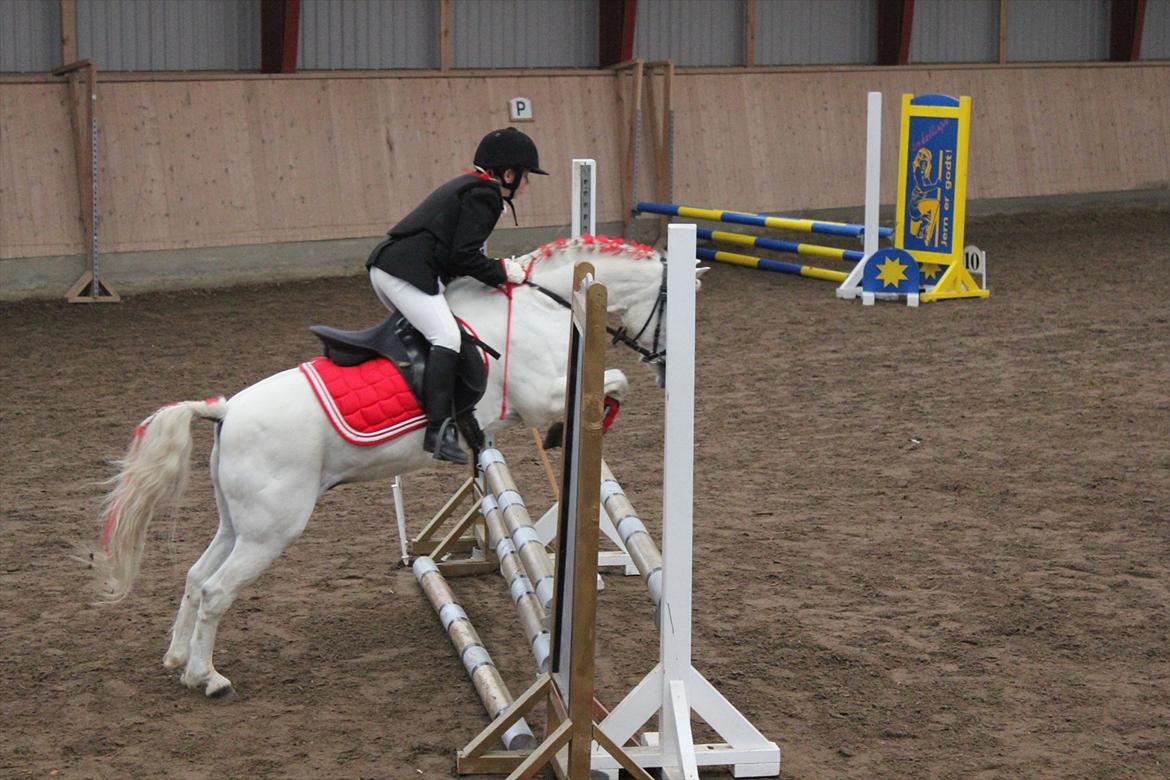 Stævne i Ågerupgård Sportsrideklub  d. 17 se billede 105