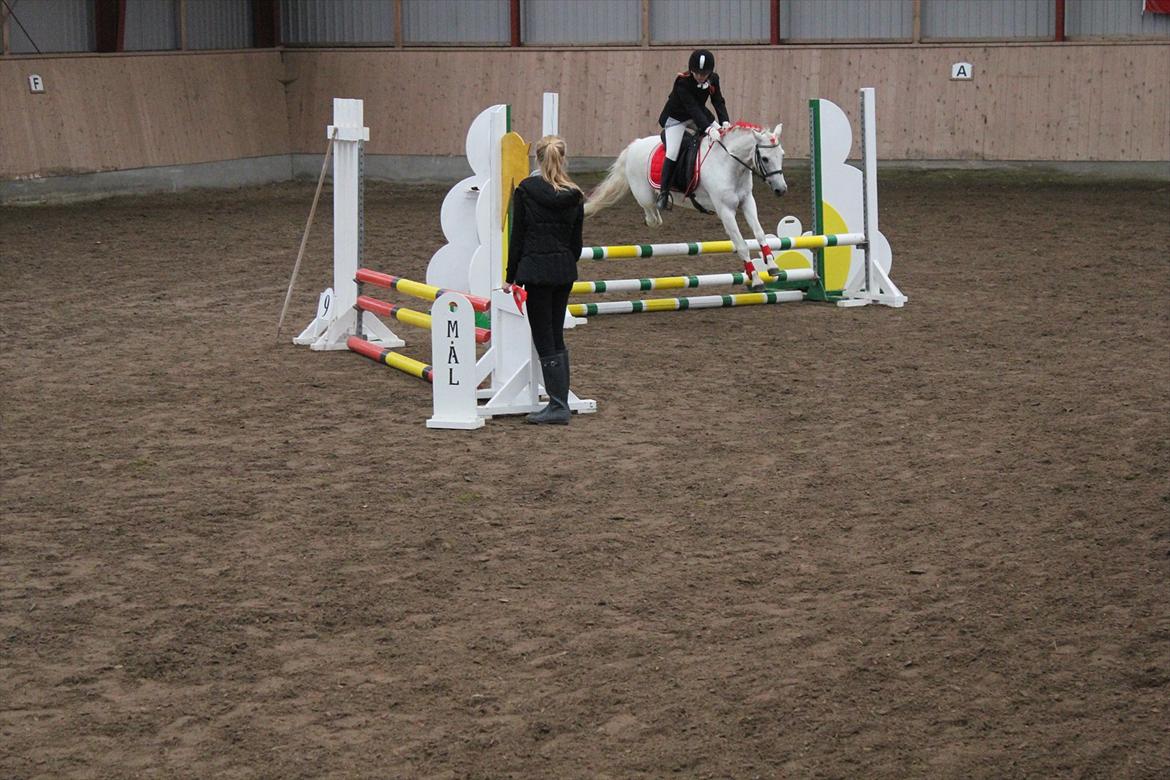 Stævne i Ågerupgård Sportsrideklub  d. 17 se billede 106