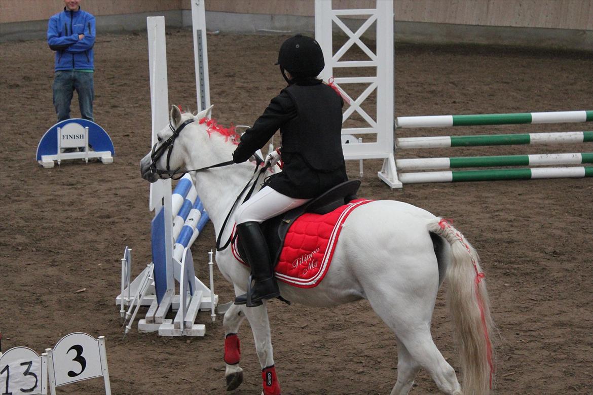 Stævne i Ågerupgård Sportsrideklub  d. 17 se billede 107