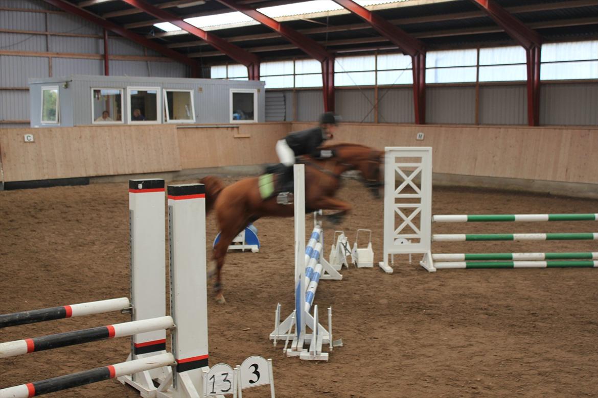 Stævne i Ågerupgård Sportsrideklub  d. 17 se billede 113