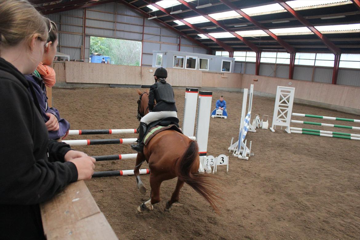 Stævne i Ågerupgård Sportsrideklub  d. 17 se billede 114