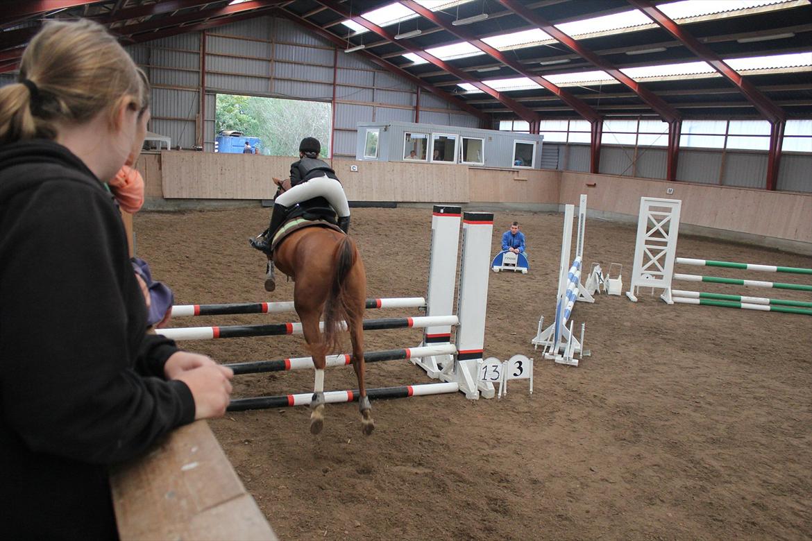 Stævne i Ågerupgård Sportsrideklub  d. 17 se billede 115