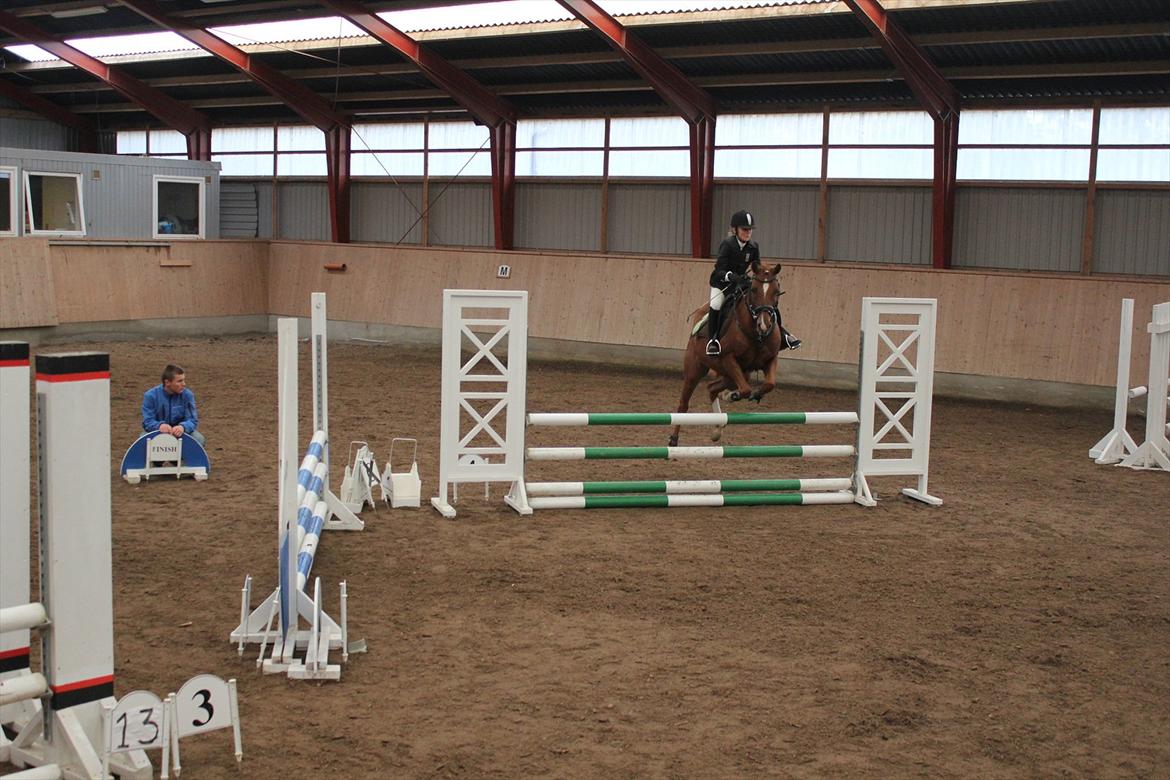 Stævne i Ågerupgård Sportsrideklub  d. 17 se billede 116