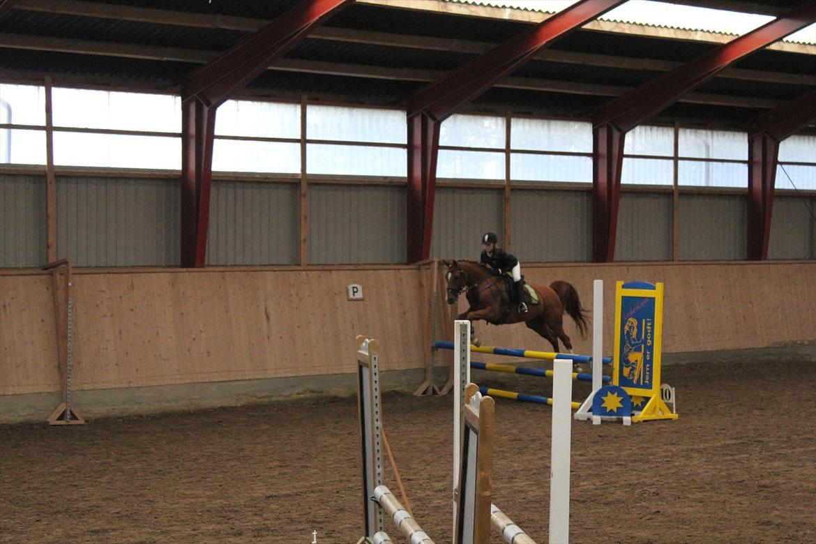 Stævne i Ågerupgård Sportsrideklub  d. 17 se billede 117