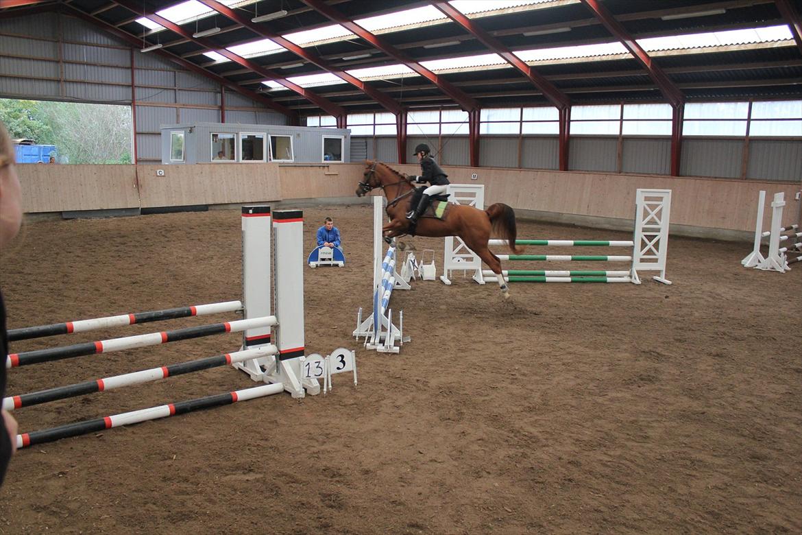 Stævne i Ågerupgård Sportsrideklub  d. 17 se billede 118