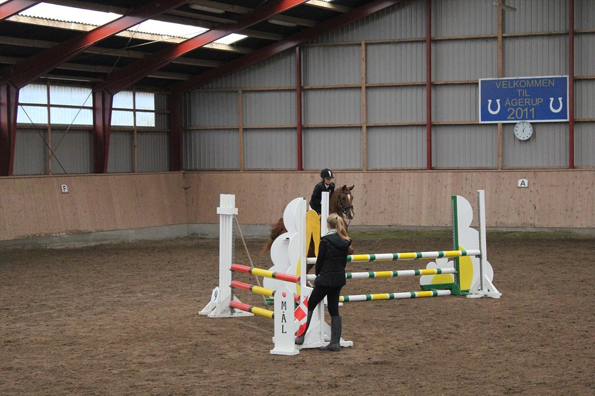 Stævne i Ågerupgård Sportsrideklub  d. 17 se billede 120