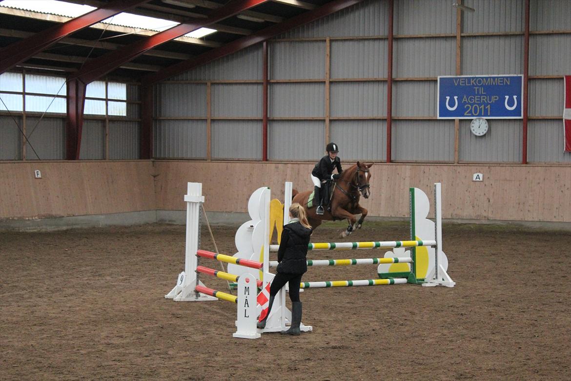 Stævne i Ågerupgård Sportsrideklub  d. 17 se billede 121