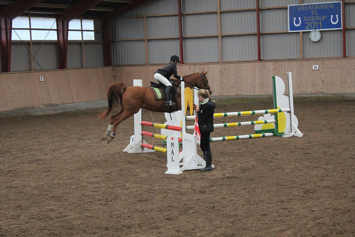 Stævne i Ågerupgård Sportsrideklub  d. 17 se billede 122