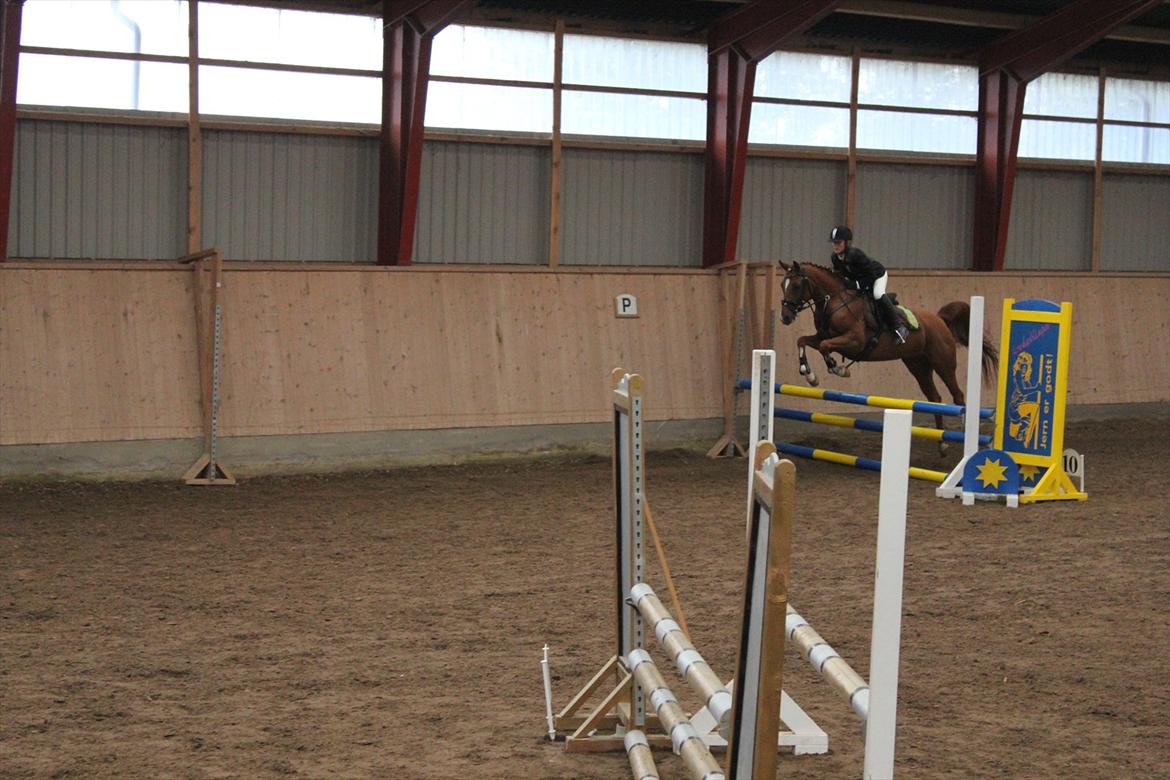 Stævne i Ågerupgård Sportsrideklub  d. 17 se billede 123