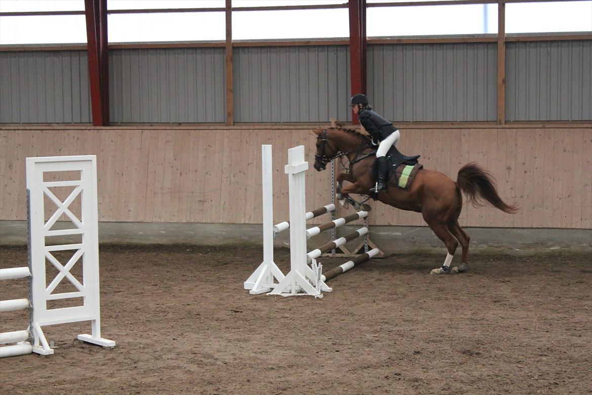 Stævne i Ågerupgård Sportsrideklub  d. 17 se billede 124