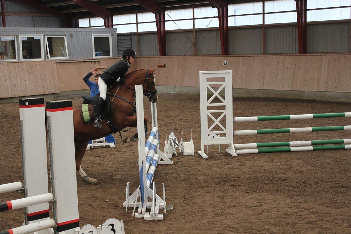 Stævne i Ågerupgård Sportsrideklub  d. 17 se billede 125