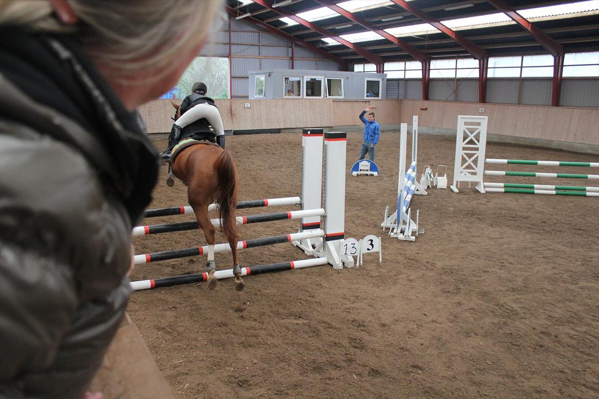 Stævne i Ågerupgård Sportsrideklub  d. 17 se billede 126