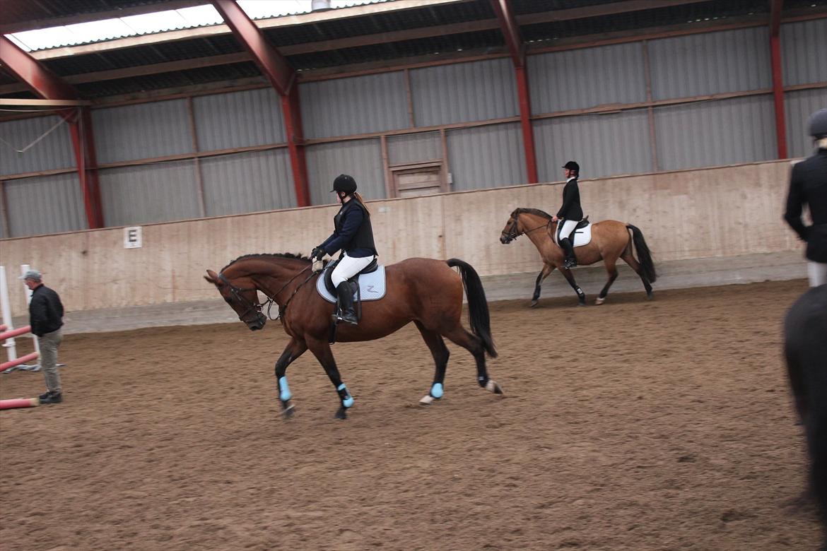 Stævne i Ågerupgård Sportsrideklub  d. 17 se billede 128