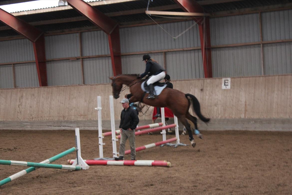 Stævne i Ågerupgård Sportsrideklub  d. 17 se billede 129