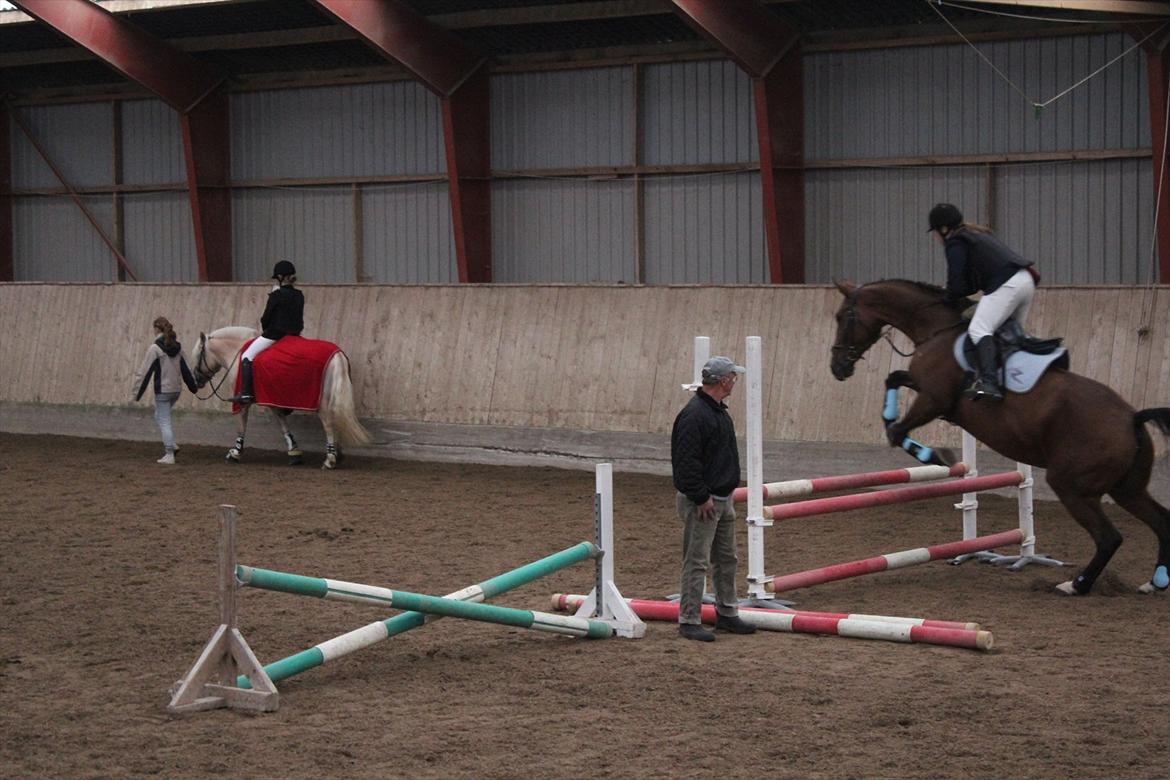 Stævne i Ågerupgård Sportsrideklub  d. 17 se billede 130