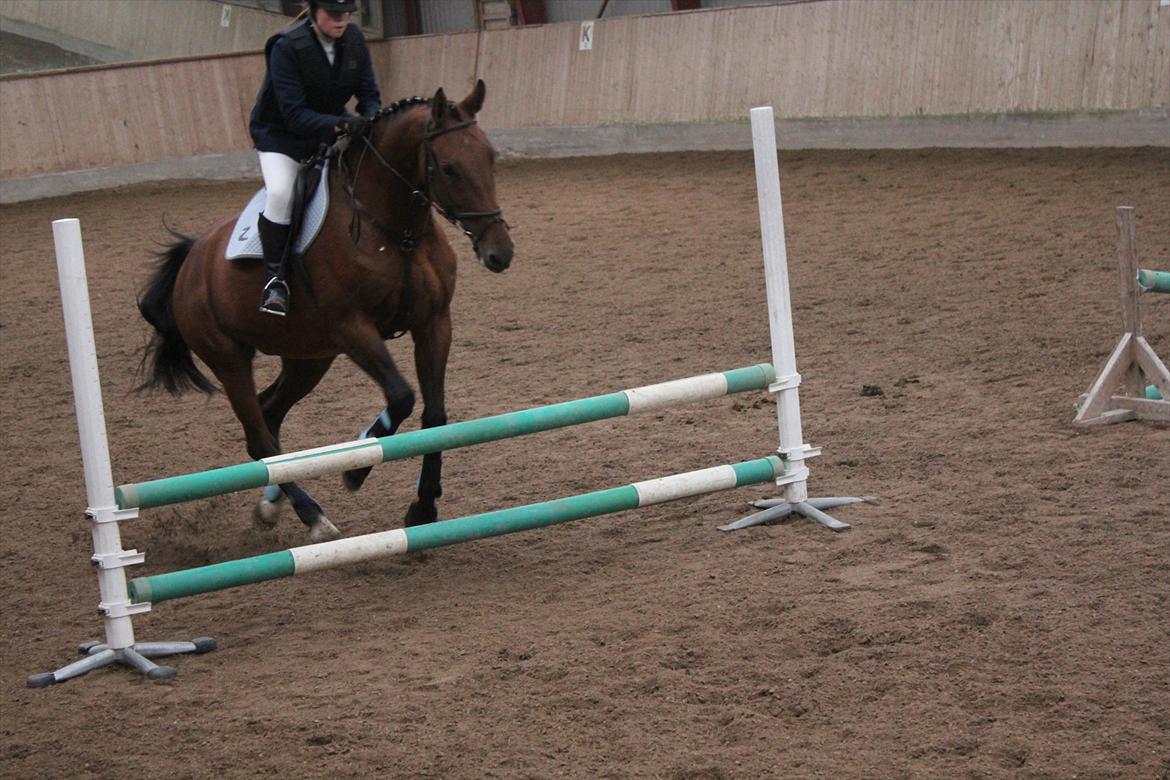Stævne i Ågerupgård Sportsrideklub  d. 17 se billede 131