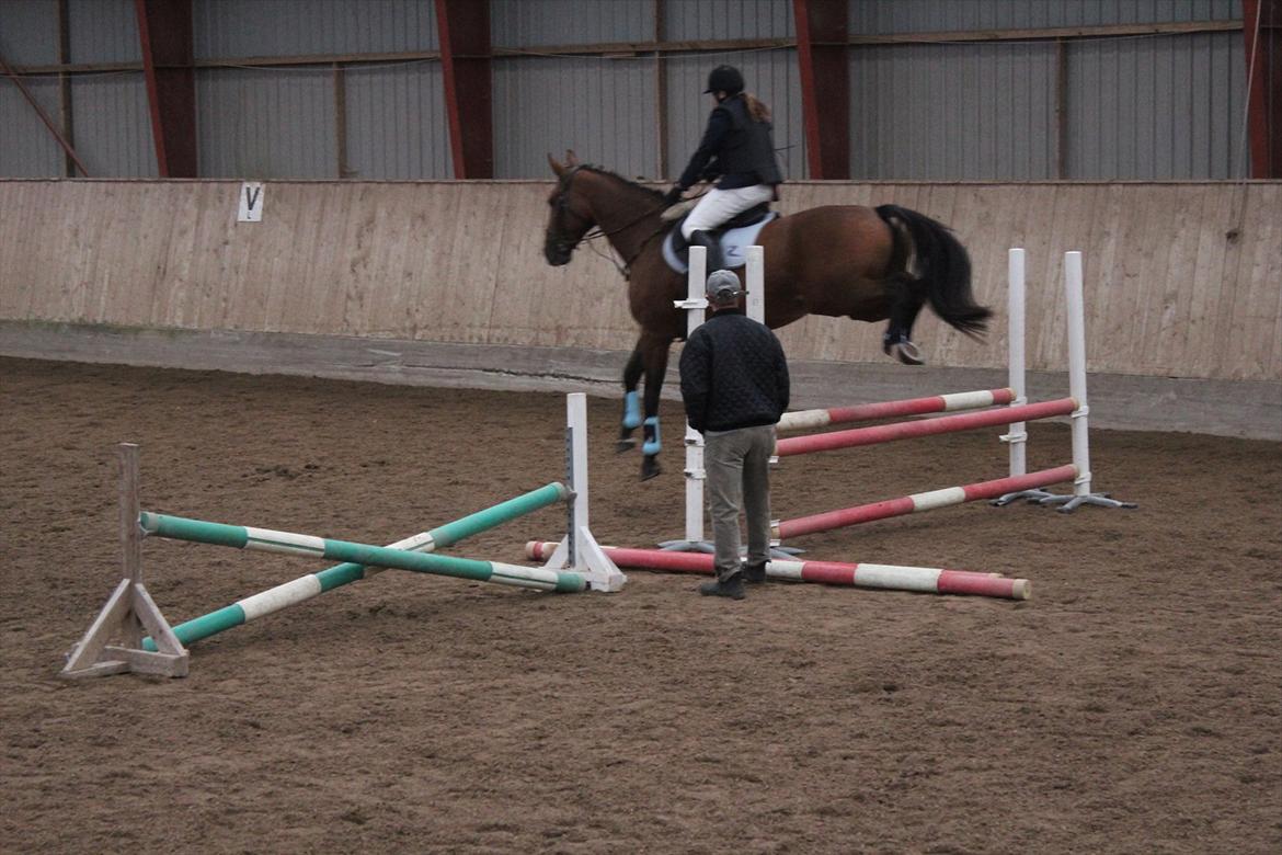 Stævne i Ågerupgård Sportsrideklub  d. 17 se billede 133