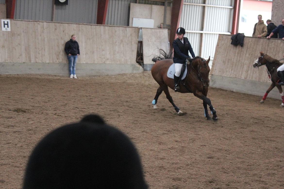 Stævne i Ågerupgård Sportsrideklub  d. 17 se billede 137