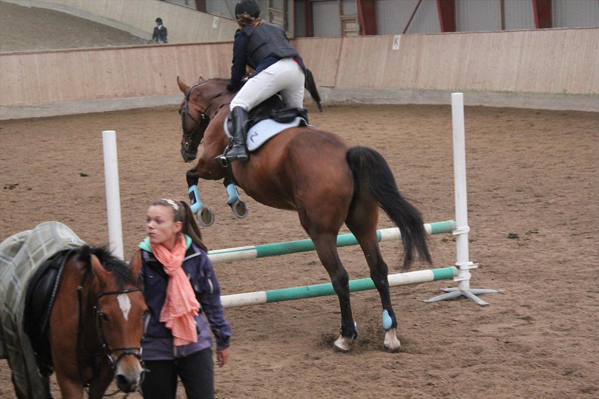 Stævne i Ågerupgård Sportsrideklub  d. 17 se billede 139