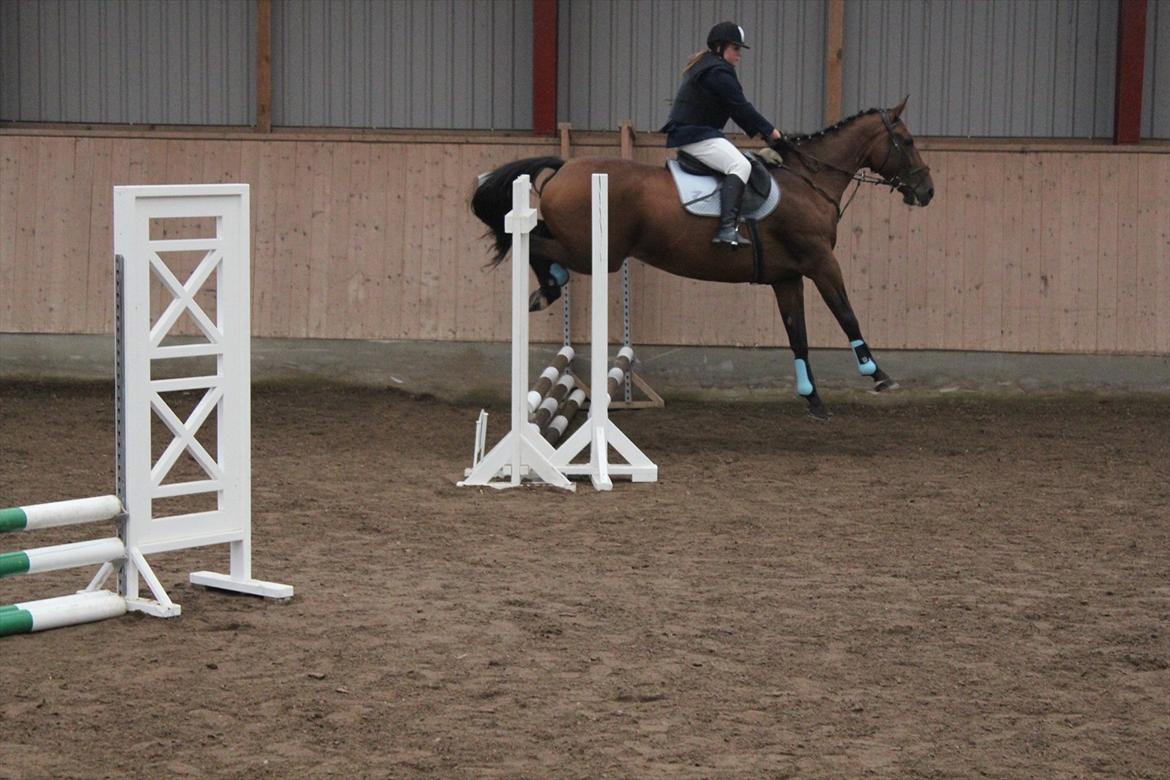 Stævne i Ågerupgård Sportsrideklub  d. 17 se billede 144