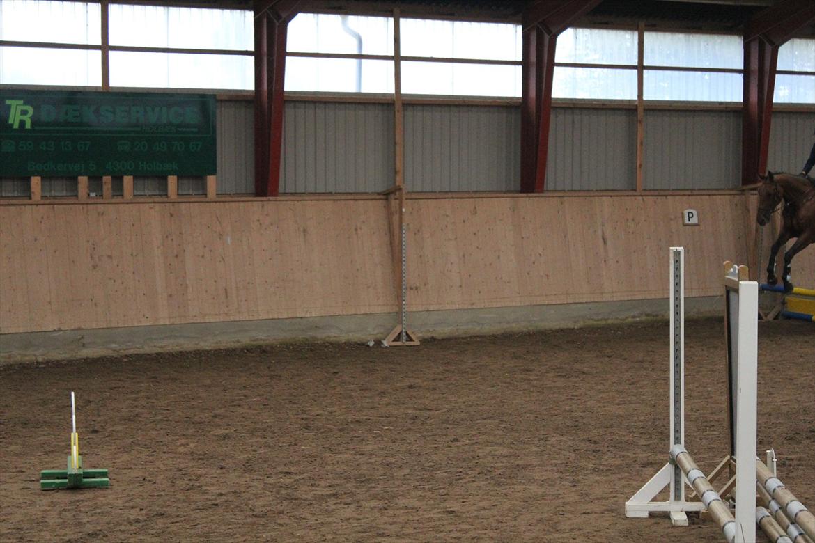 Stævne i Ågerupgård Sportsrideklub  d. 17 se billede 146