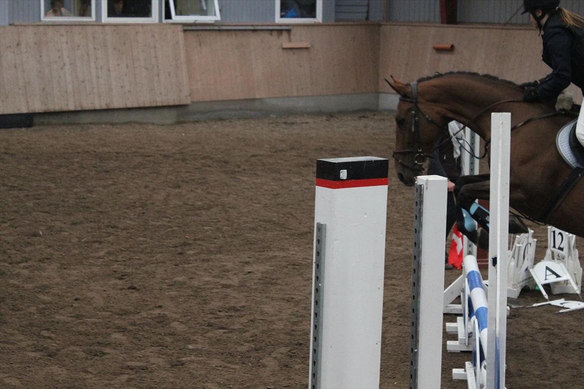 Stævne i Ågerupgård Sportsrideklub  d. 17 se billede 147