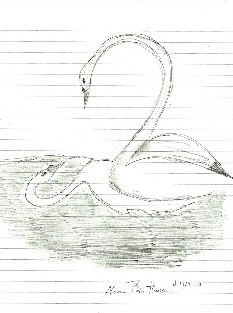 Tegninger :D   - Klichéen hvor 2-tallet bliver til en svane xD :P 
Tegnet mandag d. 19. september 2011 billede 144