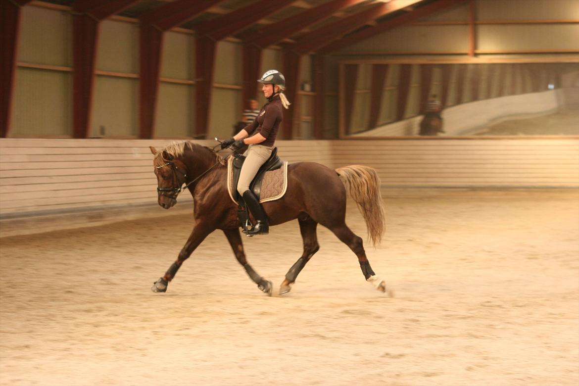 Undervisning hos Cathrine Dufour d.d. billede 6